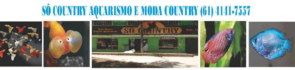 Loja de socountry